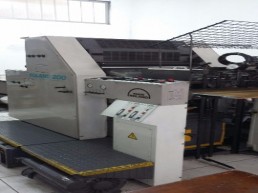 Offset Roland 202 - Bicolor
