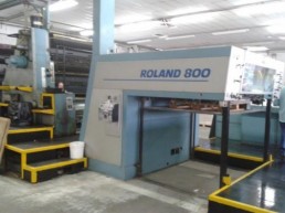 Offset Roland 800/5 - 5 Cores + Verniz