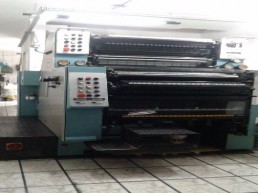 Offset Roland 202 - Bicolor