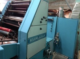 Offset Roland Favorita - Bicolor
