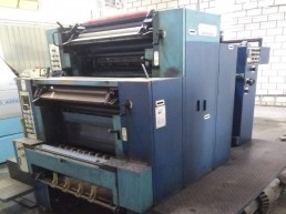 Offset Nebiolo Invicta 228 V - Bicolor