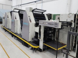 Offset Roland 605 - 05 Cores + Verniz 