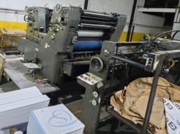 Offset Heidelberg Sorkz - Bicolor